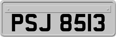 PSJ8513