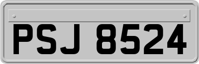 PSJ8524