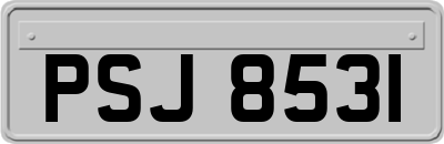 PSJ8531