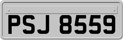 PSJ8559