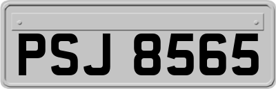 PSJ8565