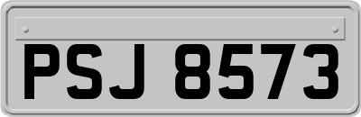 PSJ8573