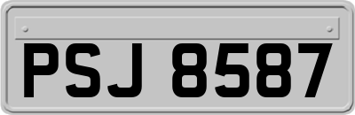 PSJ8587