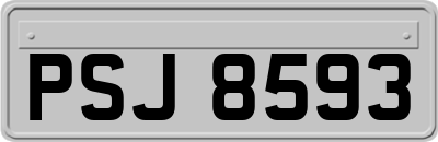 PSJ8593