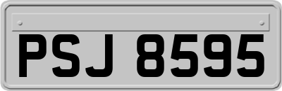 PSJ8595