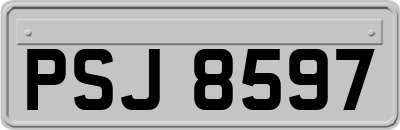PSJ8597