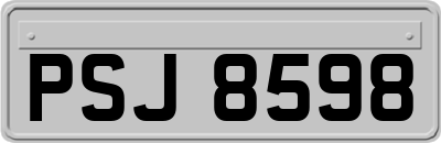 PSJ8598