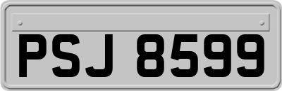 PSJ8599