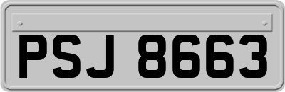PSJ8663