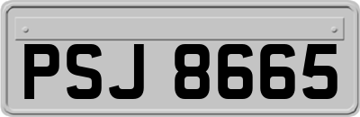 PSJ8665