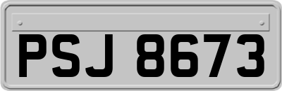 PSJ8673