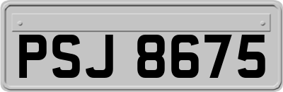 PSJ8675