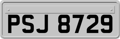 PSJ8729