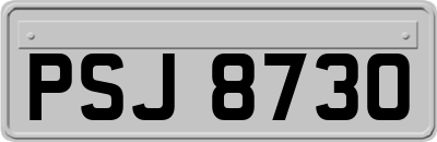 PSJ8730