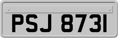 PSJ8731