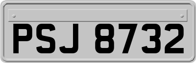 PSJ8732