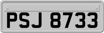 PSJ8733