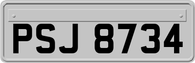 PSJ8734