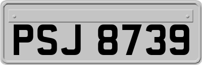 PSJ8739