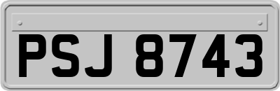 PSJ8743