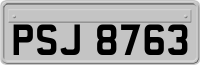 PSJ8763