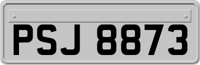 PSJ8873