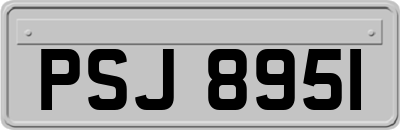 PSJ8951