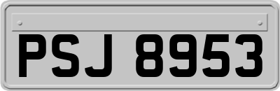 PSJ8953