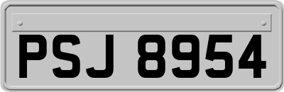 PSJ8954