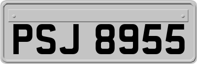PSJ8955