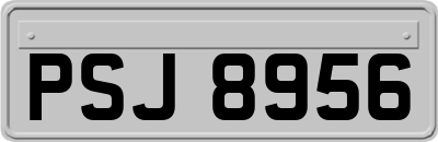 PSJ8956