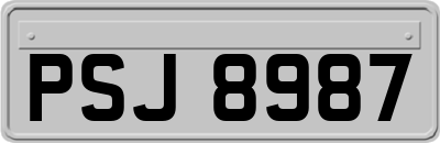 PSJ8987