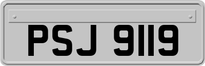 PSJ9119