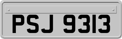 PSJ9313