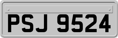 PSJ9524
