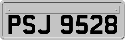 PSJ9528