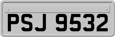 PSJ9532