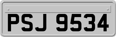 PSJ9534