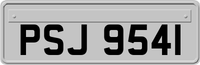 PSJ9541