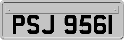 PSJ9561