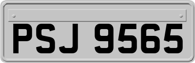 PSJ9565
