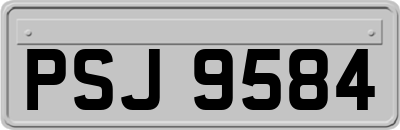 PSJ9584