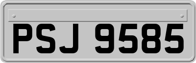 PSJ9585