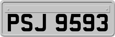 PSJ9593