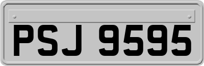 PSJ9595