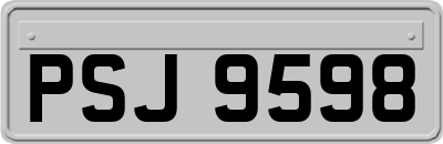 PSJ9598