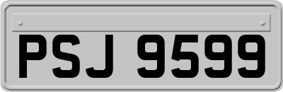 PSJ9599