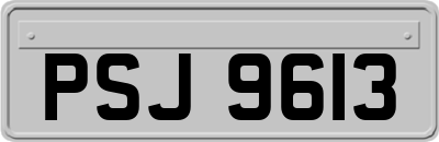 PSJ9613