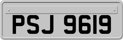 PSJ9619