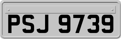 PSJ9739